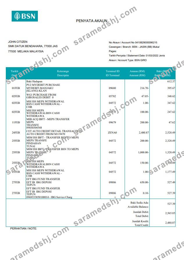 Malaysia BSN bank statement